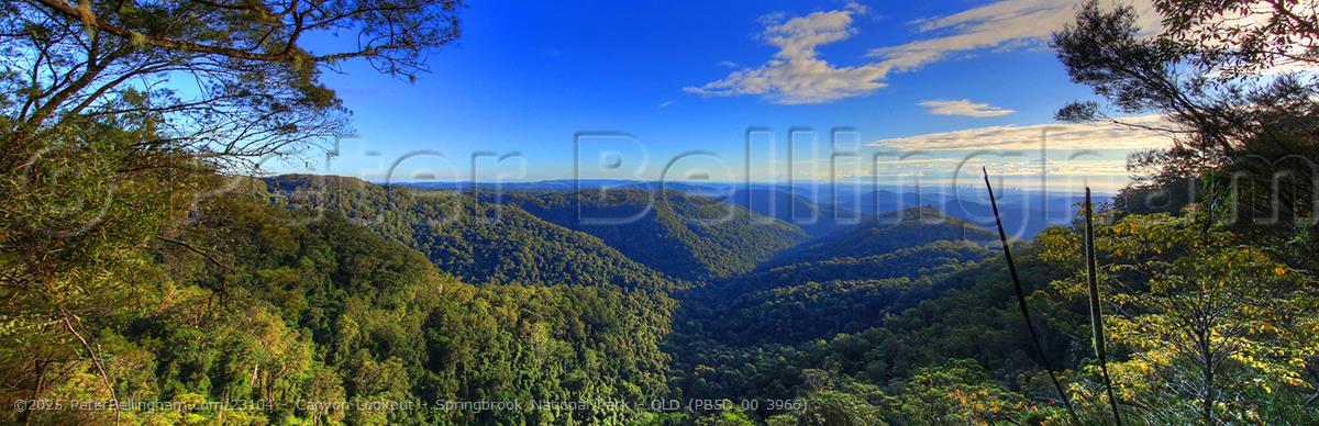 Peter Bellingham Photography Canyon Lookout - Springbrook National Park - QLD (PB5D 00 3966)